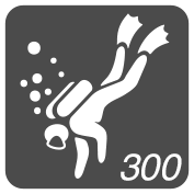 Diver's 300